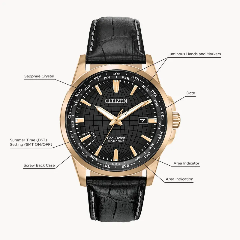 Citizen World Time Perpetual Eco-Drive Black Dial Watch | CITIZEN Citizen World Time Perpetual Eco-Drive Black Dial Watch | CITIZEN